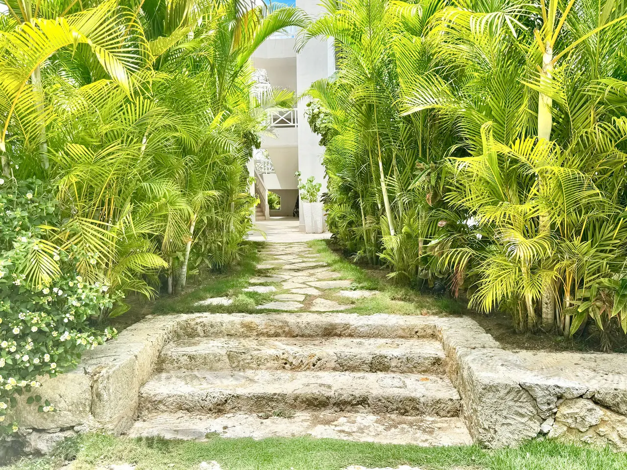 Beach Club Dominicus: Extérieur