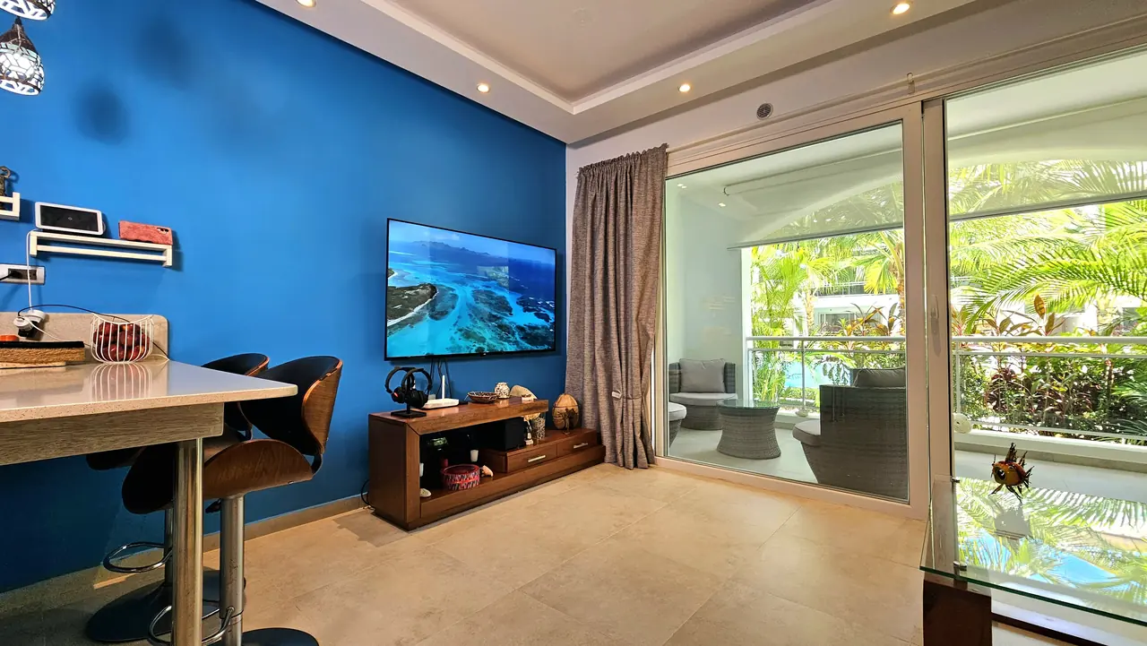 Estrella Dominicus: Living room and kitchen