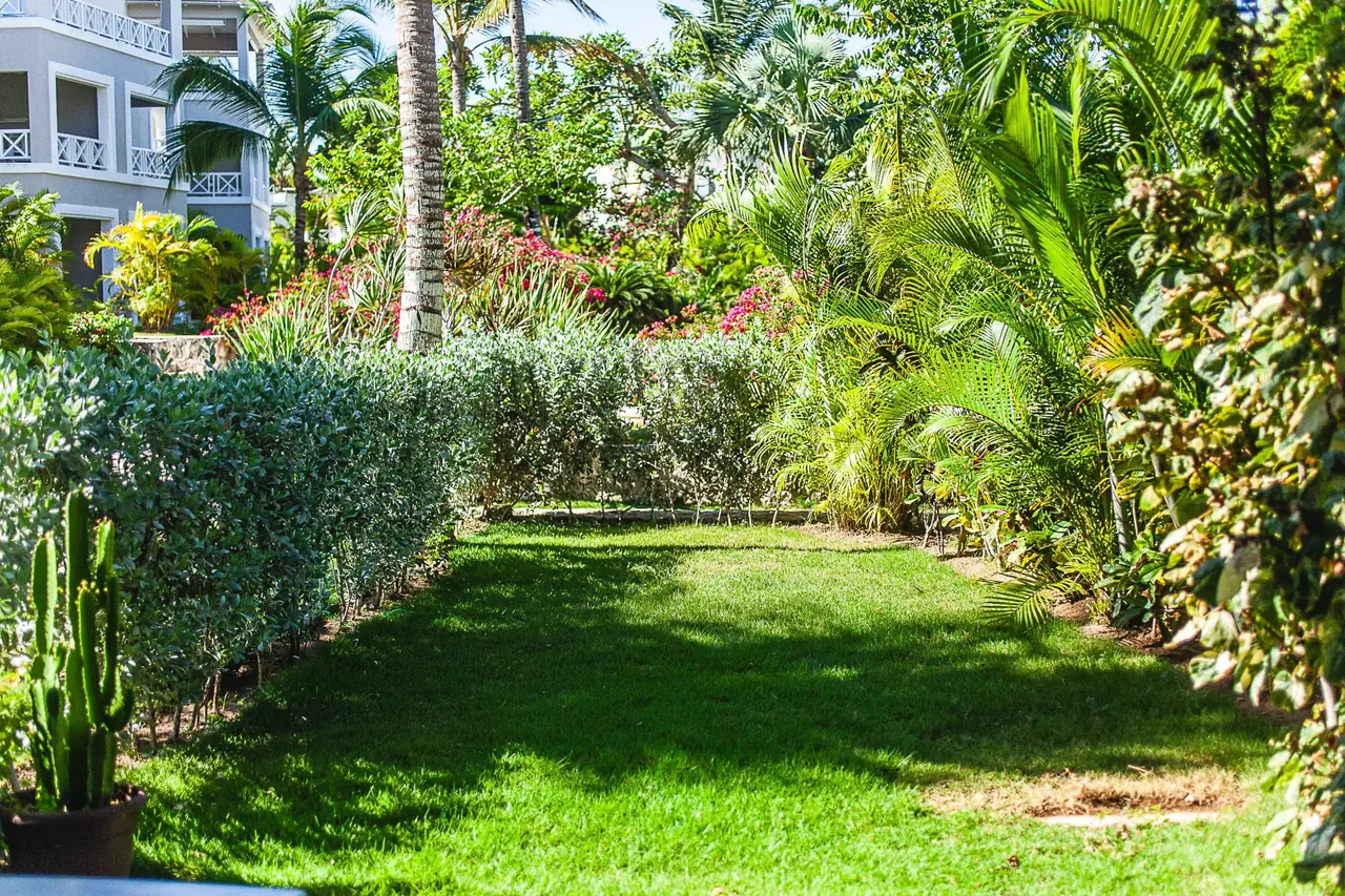 Tracadero Luxe: Backyard