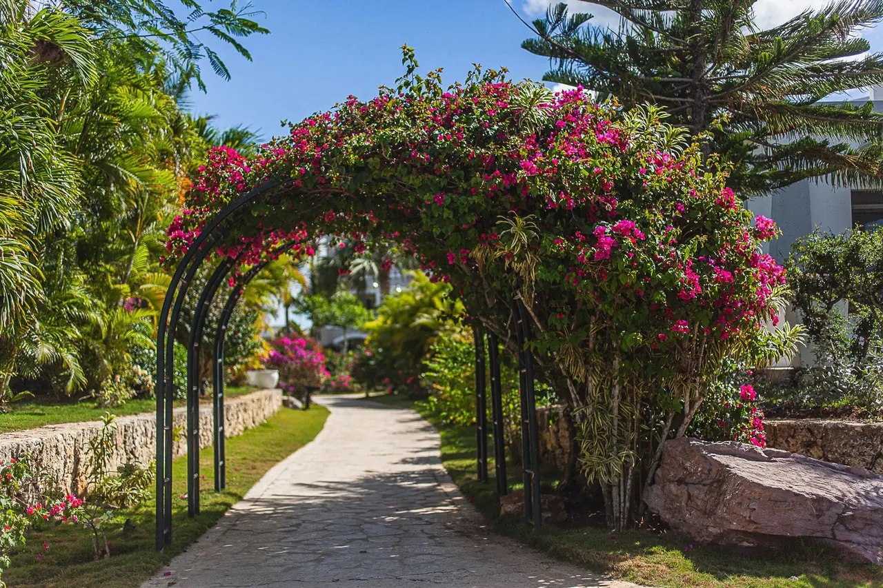 Tracadero Luxe: Outside