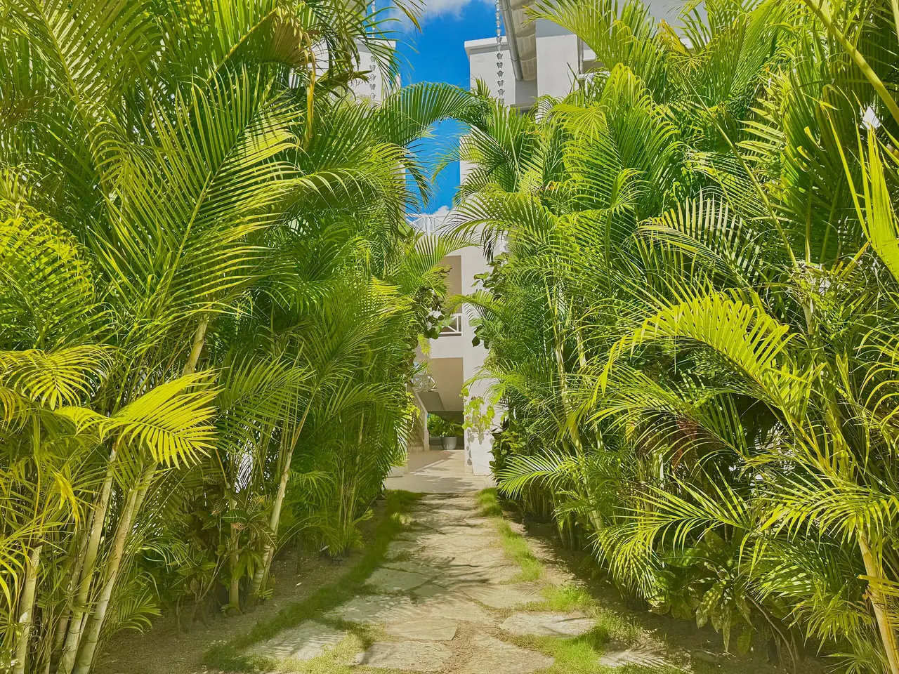 Tracadero Luxe: Outside