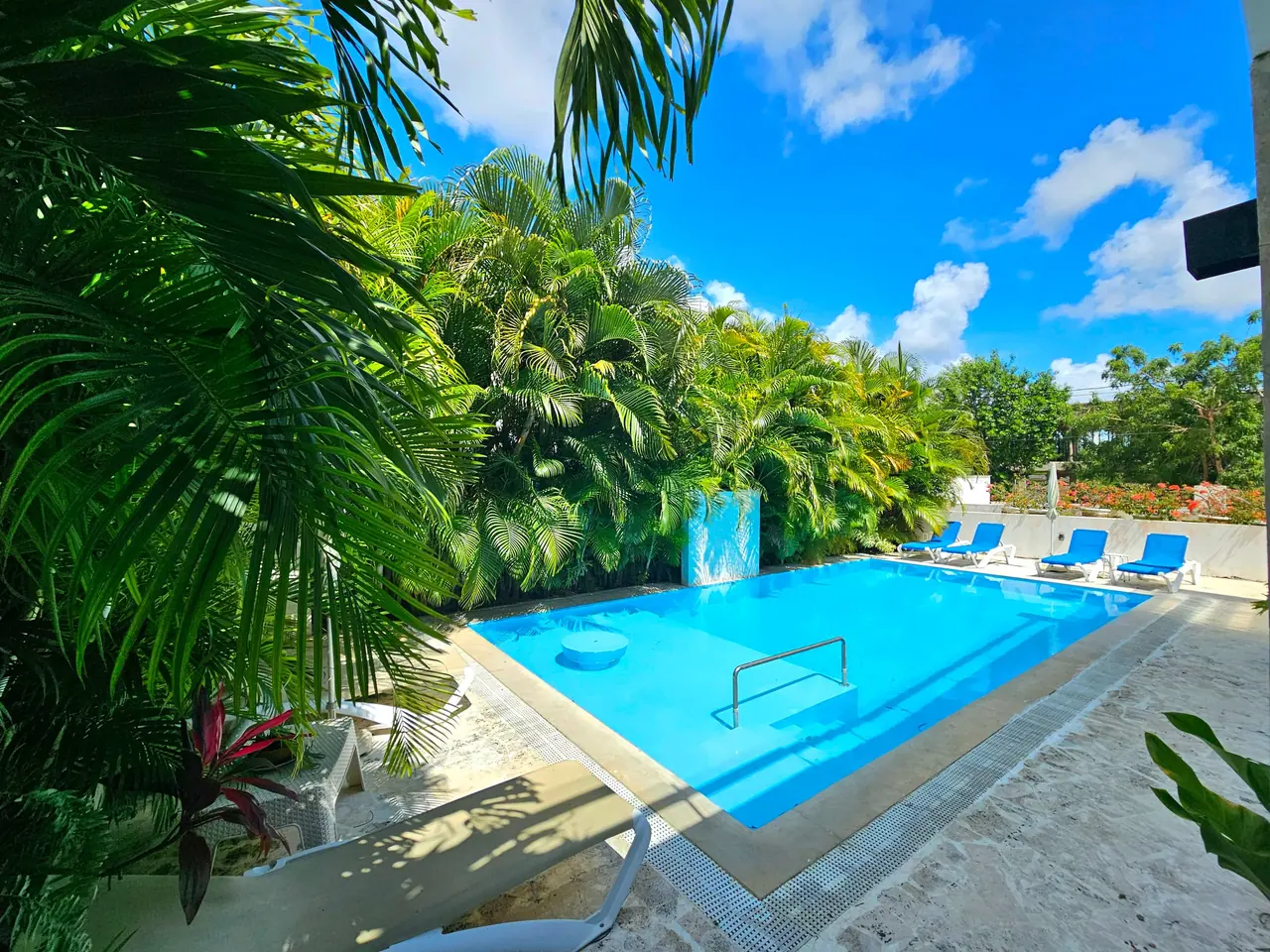 Villa Anita: Piscine